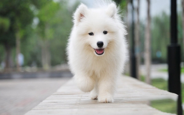 1623291335762260.jpg Fwww.8383.jpg