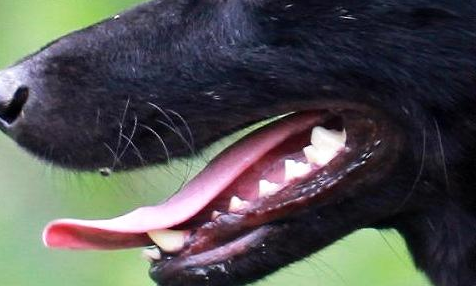 1657683967141986.png 21090717150953575156.png